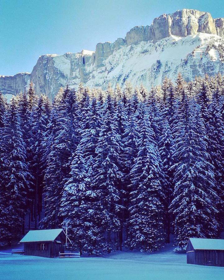 Die Alte Blaa Altaussee Zewnętrze zdjęcie